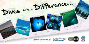Congratulations to the winners of the Dives with a Difference Contest!
