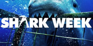 Shark Week Returns! We see some Quik Pod’s being used.